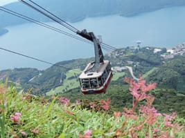 富士山と箱根訪問終日ツアー (バスで戻る)