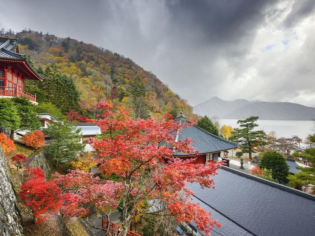  Explore Nikko with Customizable Itinerary - Full-Day Private Tour
