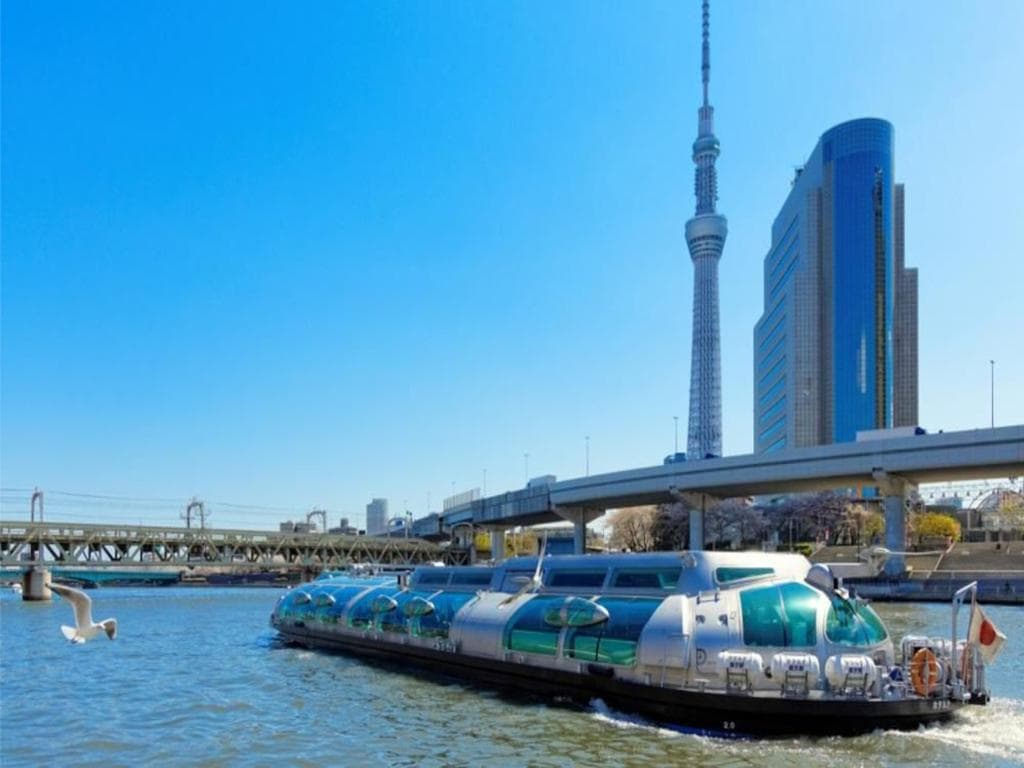 Panoramic Bus Tour and Bay Cruise 