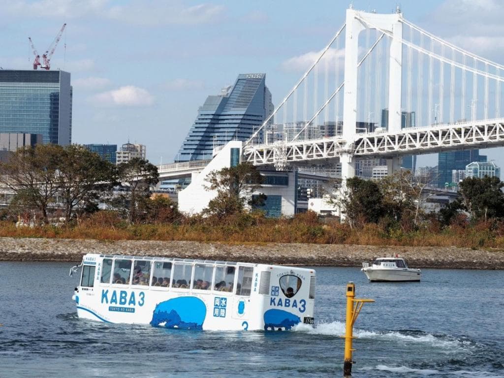 Panoramic Bus Tour and Bay Cruise  1