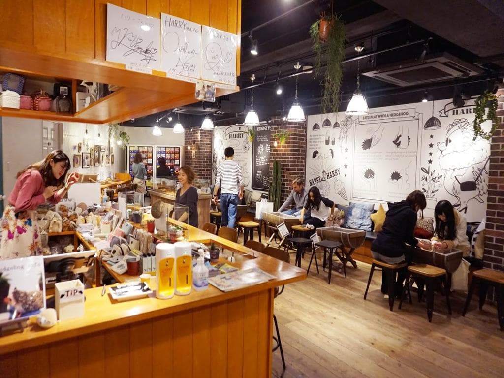 Hedgehog Cafe - Ticket 1