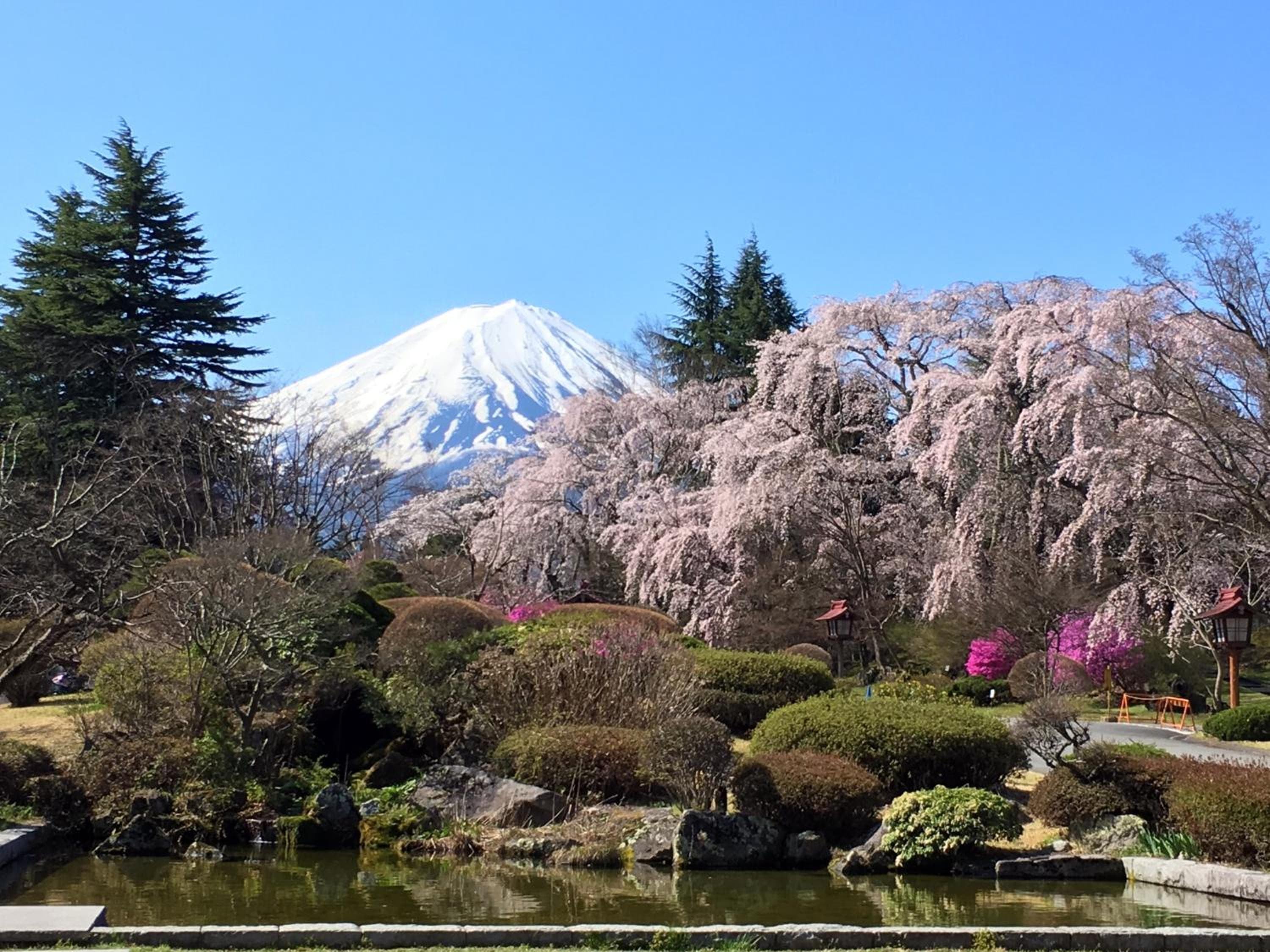 Fuji View Hotel 4