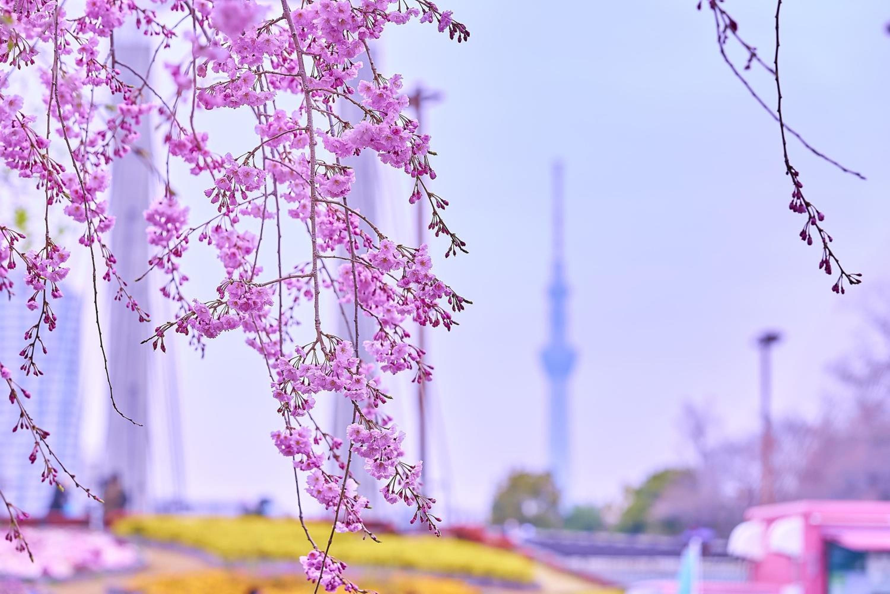Tokyo Bay Shiomi Prince Hotel 4