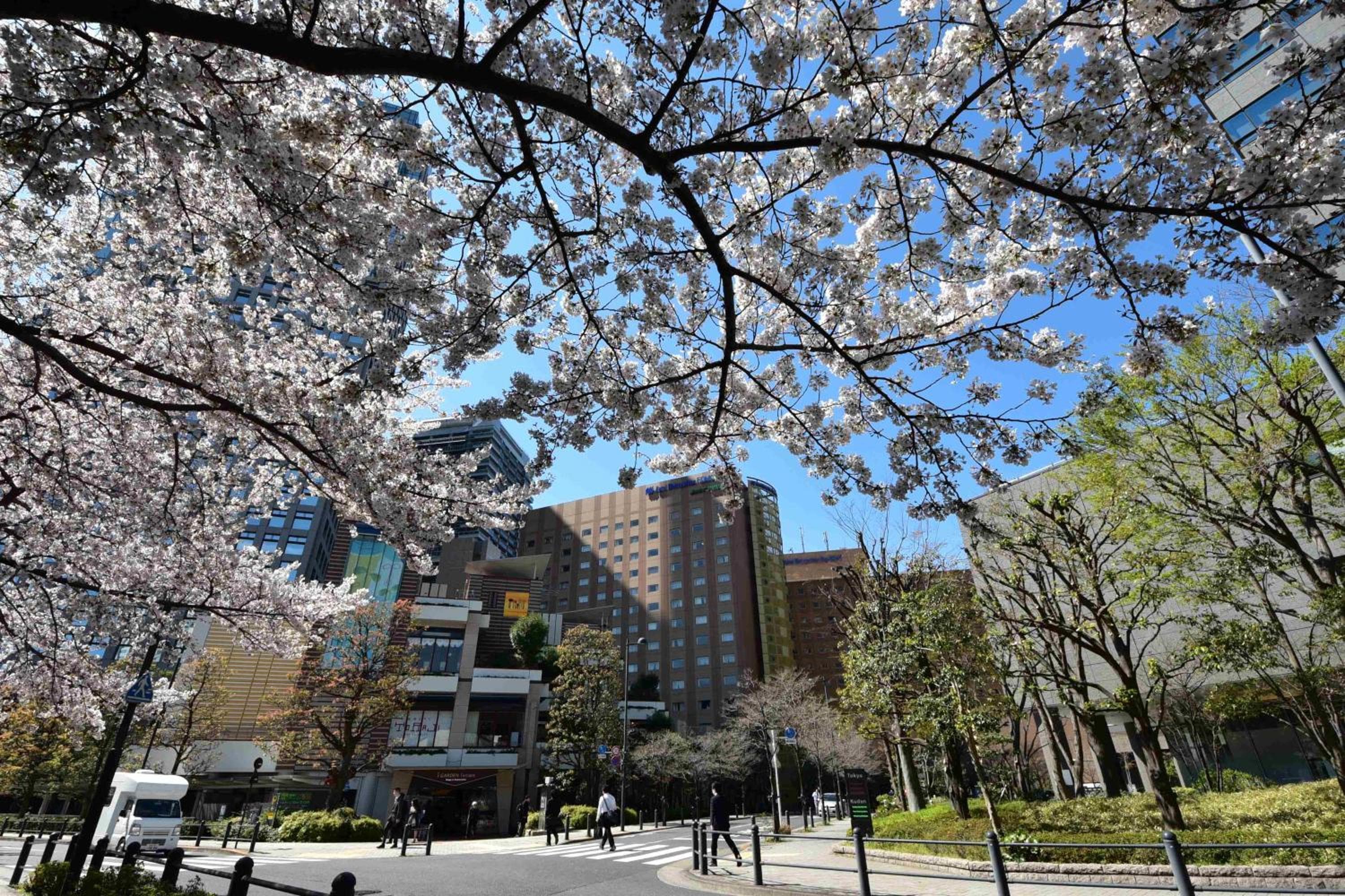 ホテル Metropolitan Edmont Tokyo